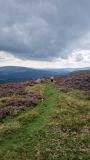 Photo of 2025 B&I Mountain Running Championships - Trials