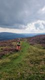 Photo of 2025 B&I Mountain Running Championships - Trials