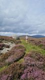 Photo of 2025 B&I Mountain Running Championships - Trials