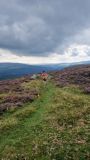 Photo of 2025 B&I Mountain Running Championships - Trials