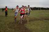 Photo of AAI National Inter-Counties Cross-Country
