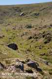 Photo of Fraughen Rock Glen