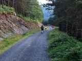 Photo of Djouce trail