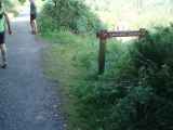 Photo of Derrybawn Woods Trail