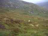 Photo of Nav challenge 2 - Glendalough ("Leg 5")